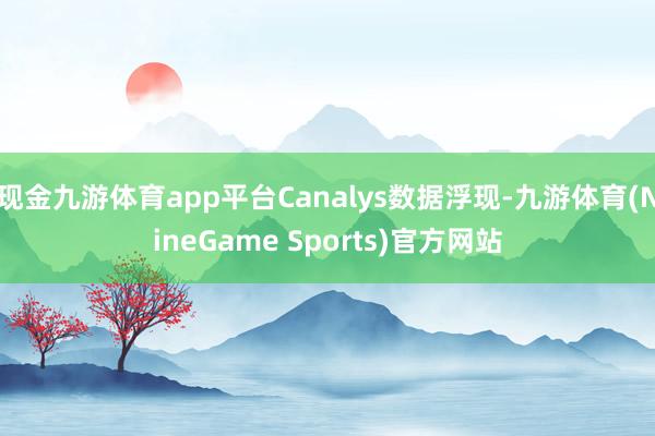 现金九游体育app平台Canalys数据浮现-九游体育(NineGame Sports)官方网站