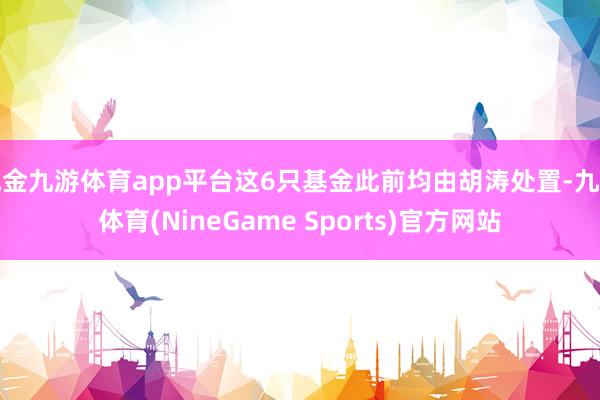 现金九游体育app平台这6只基金此前均由胡涛处置-九游体育(NineGame Sports)官方网站